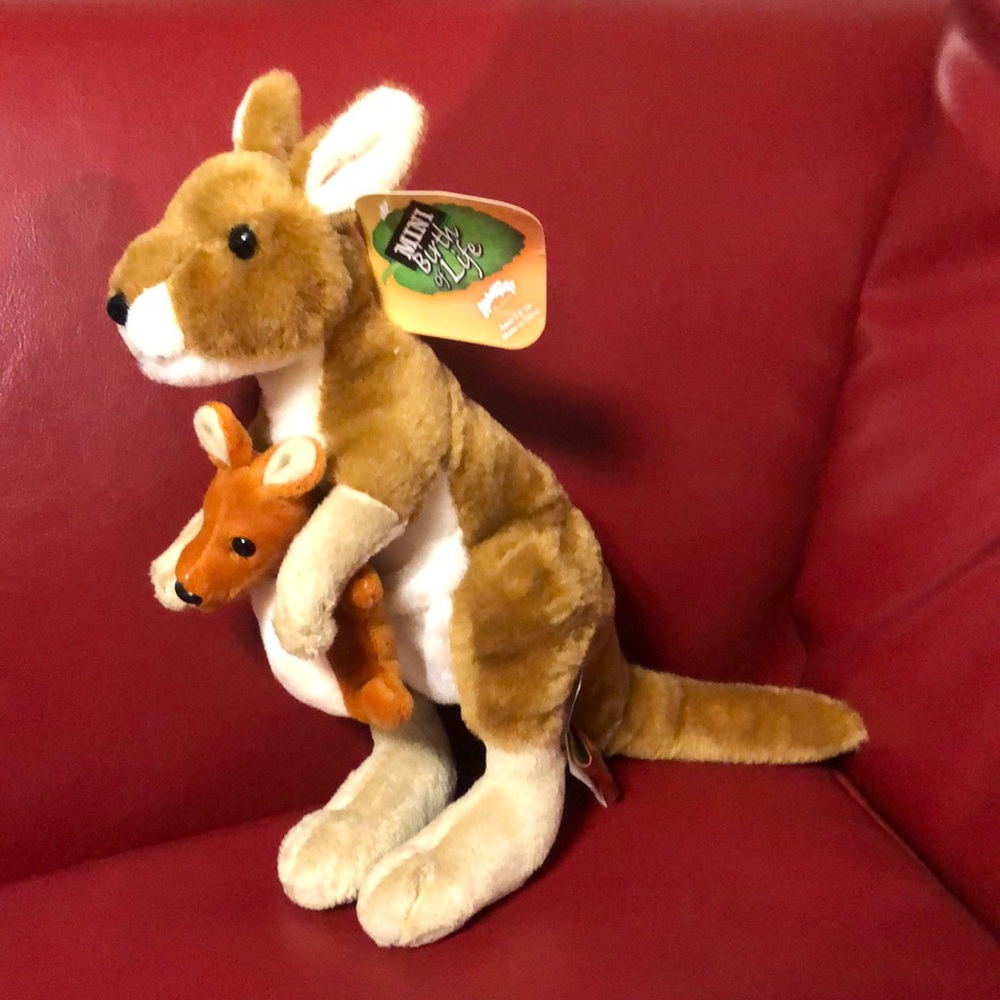 Mini Birth of life by Adventure Planet.8” Kangaroo